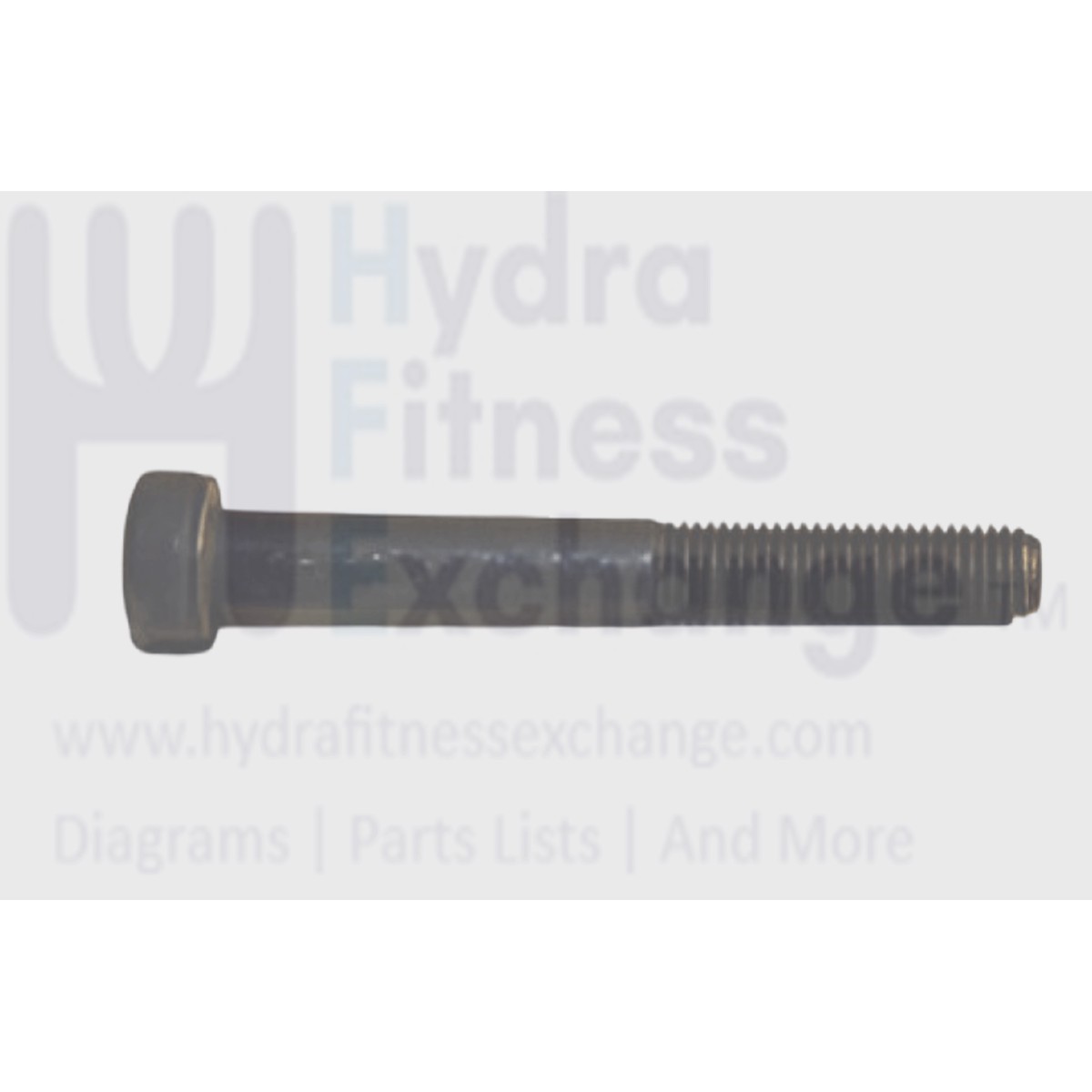 Matrix Fitness Stepper Step Round Head Hex Socket Screw M5 - 0.8P x 50L 004558-AA