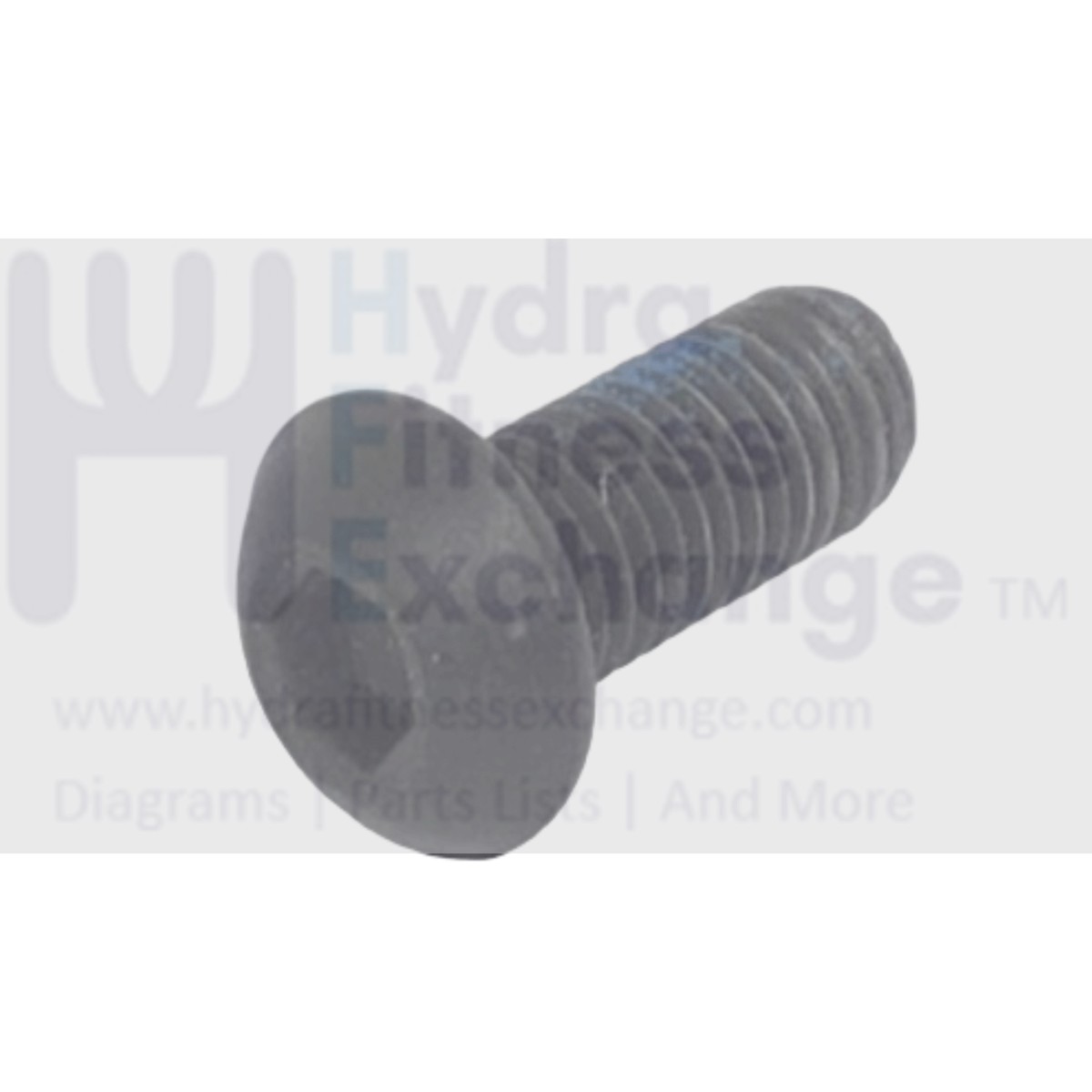 Vision Fitness Treadmill Button Head Hex Socket Screw M8 - 1.25 x 20mm 004720-00