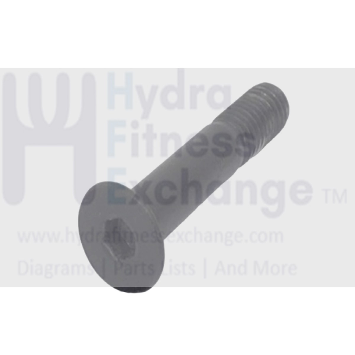 Vision Fitness Treadmill Flat Head Hex Socket Screw  M8 - 1.25 x 45mm 004584-A