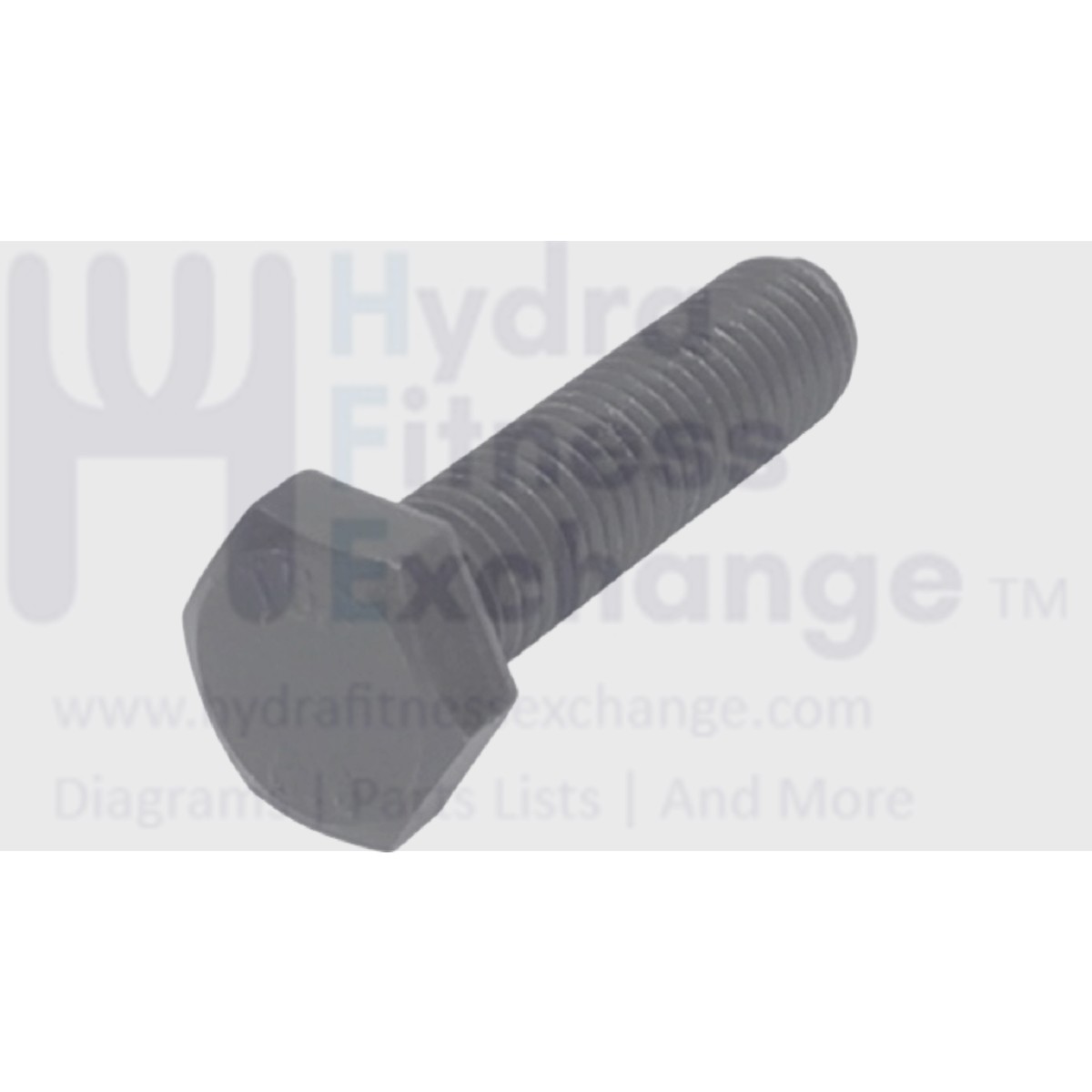 Weider Proform NordicTrack Elliptical Head Hex Bolt M10 x 40mm 194885